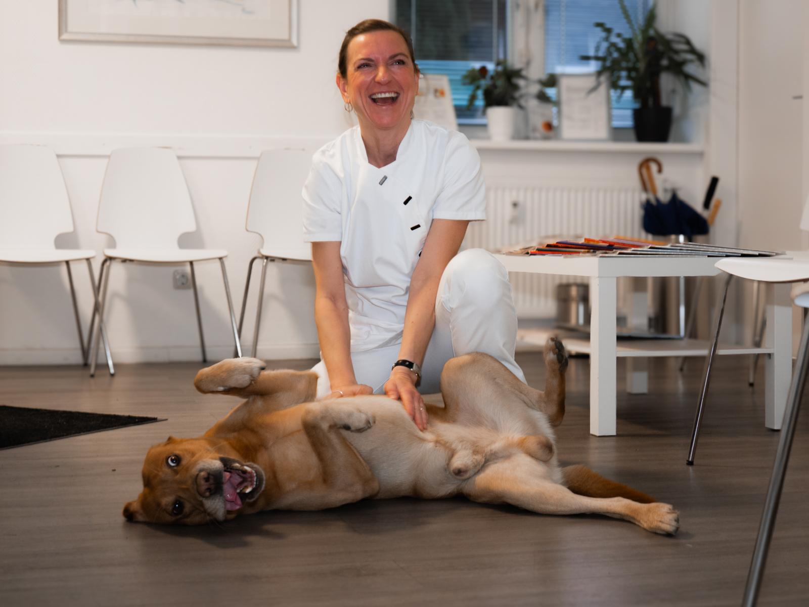 Cooper, der Praxishund und Feel-Good-Manager